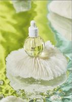 Ingrown Concentrate 0.5 FL. OZ. (14ml.)